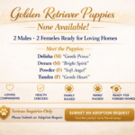 Now Available! Submit Adoption Request !