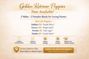 Now Available! Submit Adoption Request !